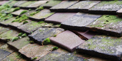 Bagworth roof repair costs